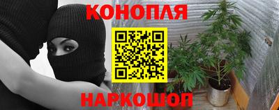 твердый Лесосибирск
