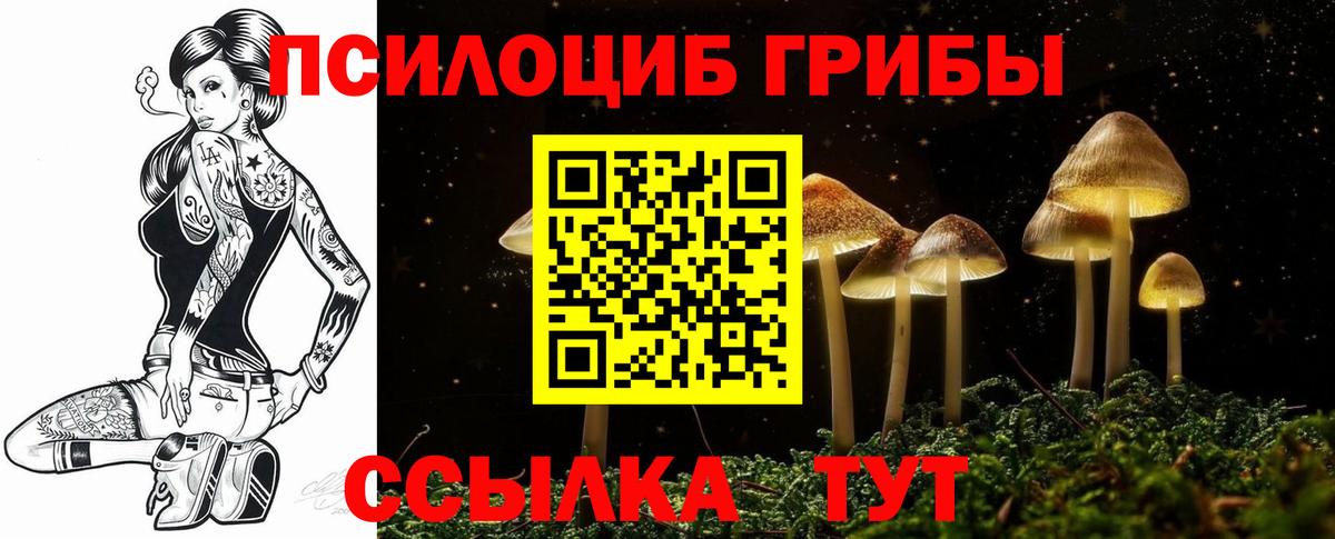 Гай  Псилоцибиновые грибы MAGIC MUSHROOMS  Вход с VPN 