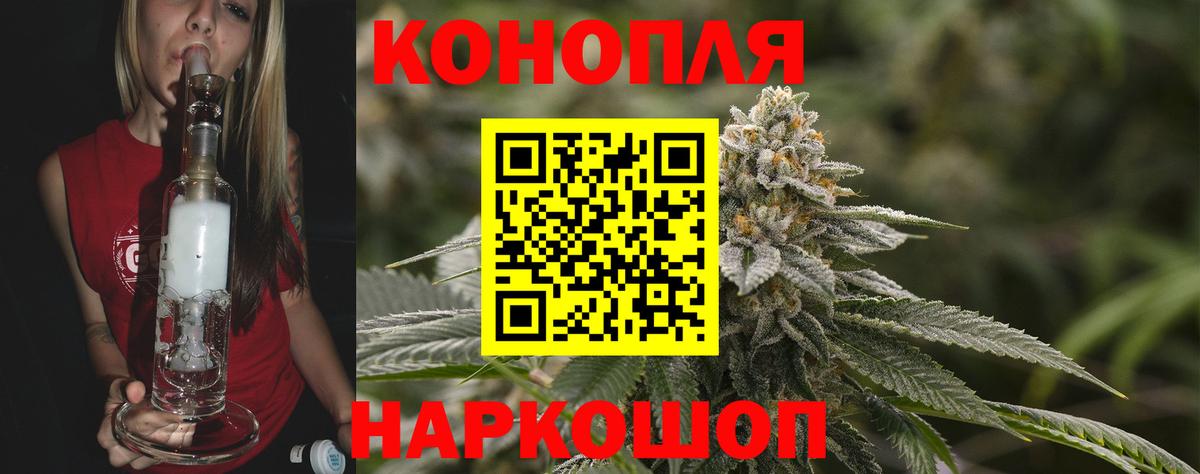 Бошки марихуана Amnesia Гай